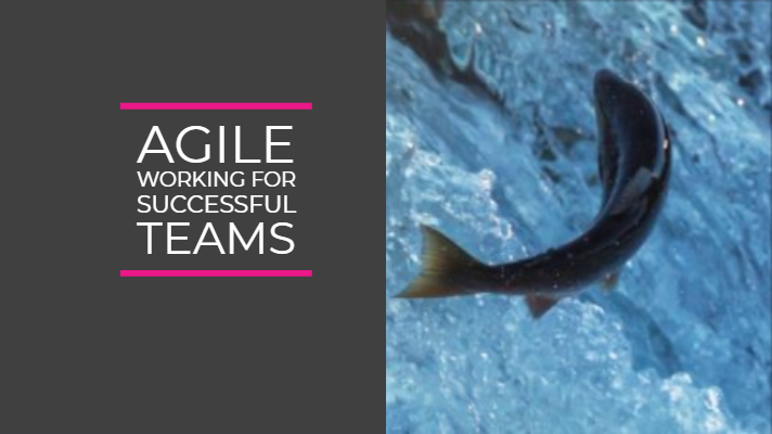 Agile working for successful teams
